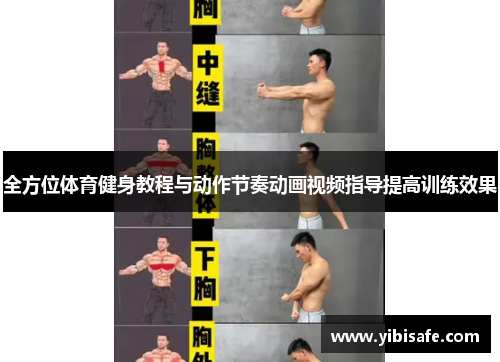 全方位体育健身教程与动作节奏动画视频指导提高训练效果